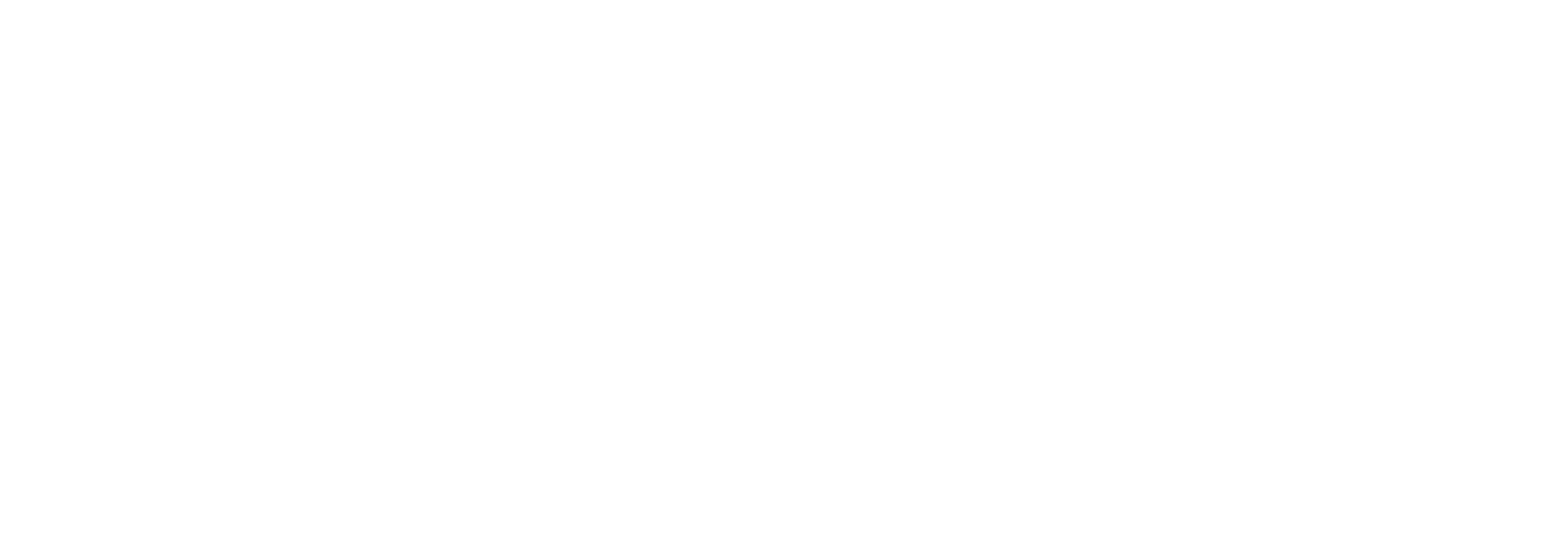 logo light